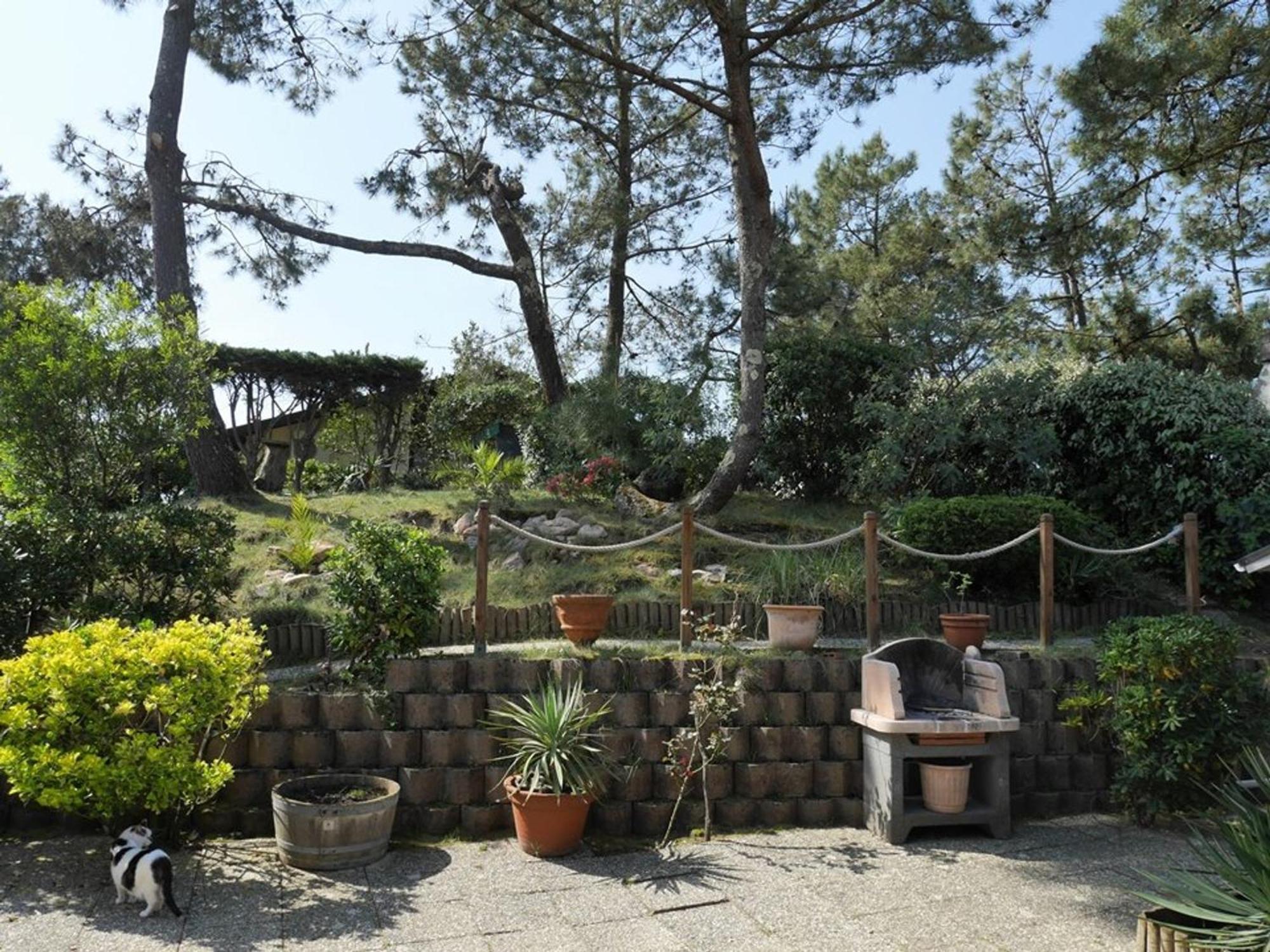 Maison Moderne Et Traditionnelle A 300M De La Plage, Avec Jardin, Barbecue Et Parking Prive - Fr-1-413-234 Villa Capbreton Exteriör bild